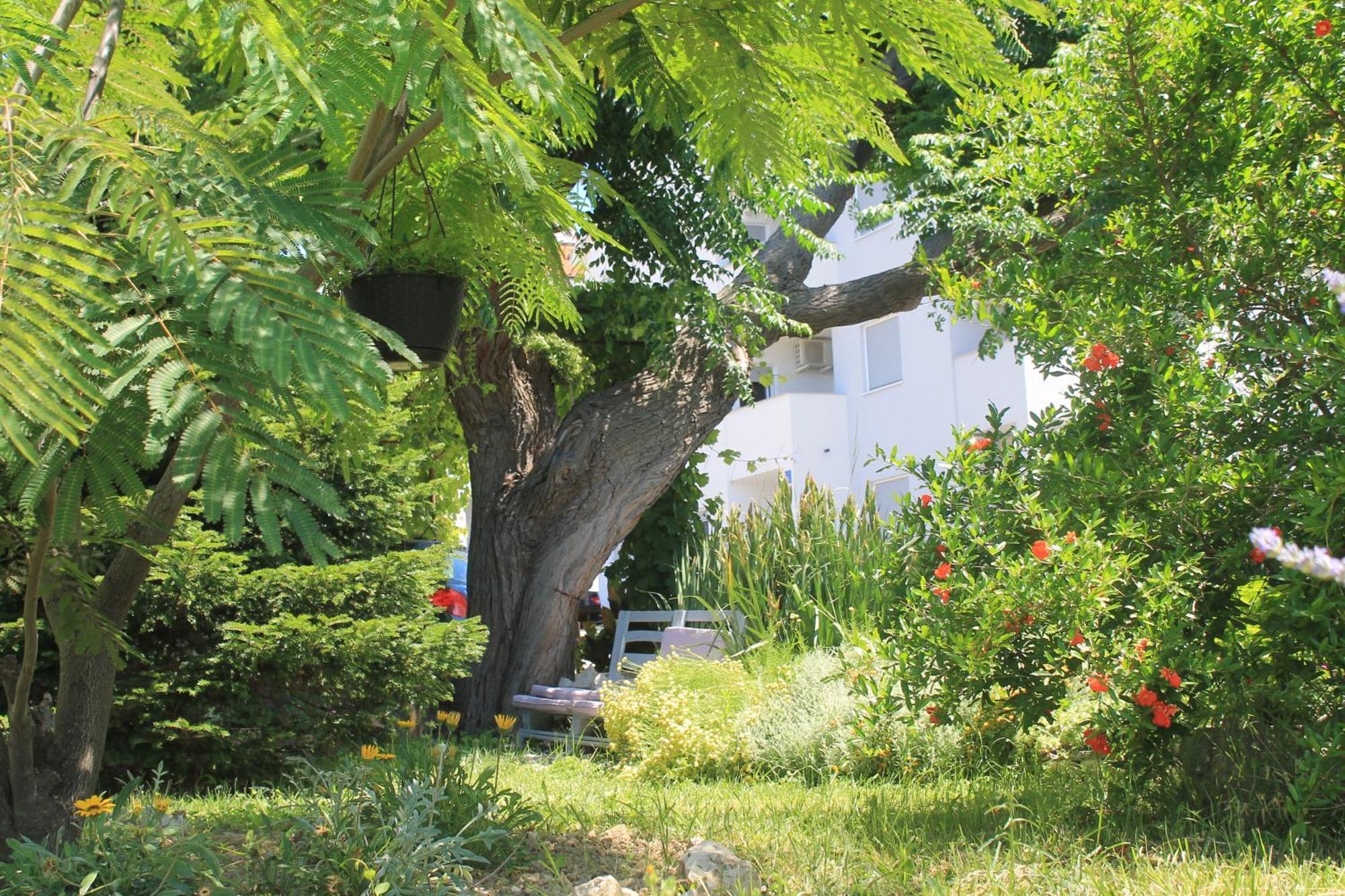 Apartments 501 - Rab Island Oasis Retreat Supetarska Draga Exterior foto