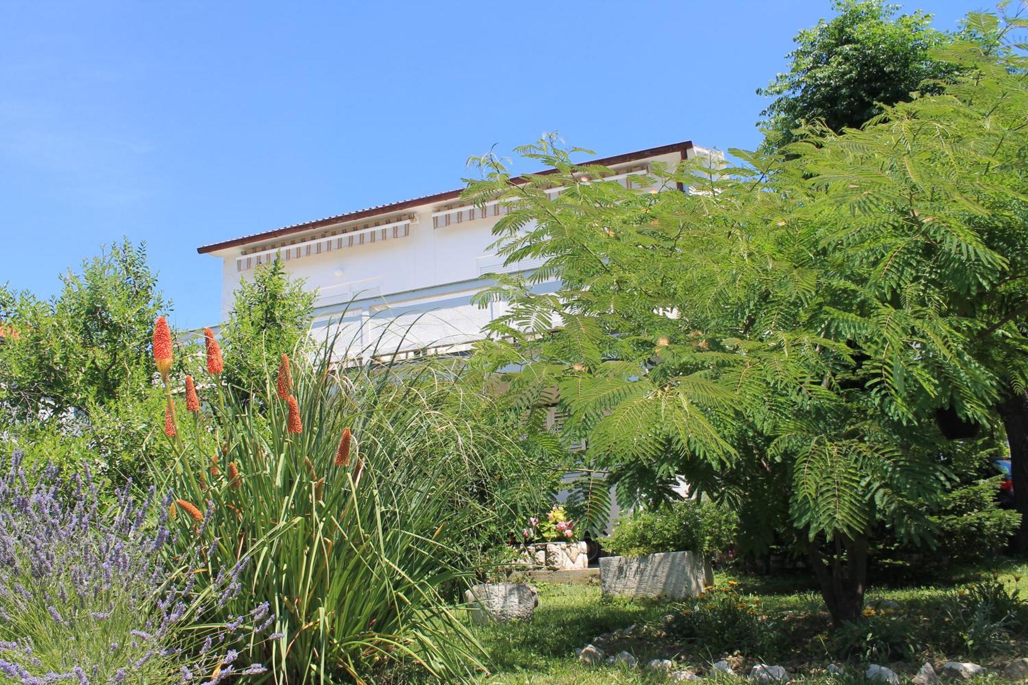 Apartments 501 - Rab Island Oasis Retreat Supetarska Draga Exterior foto