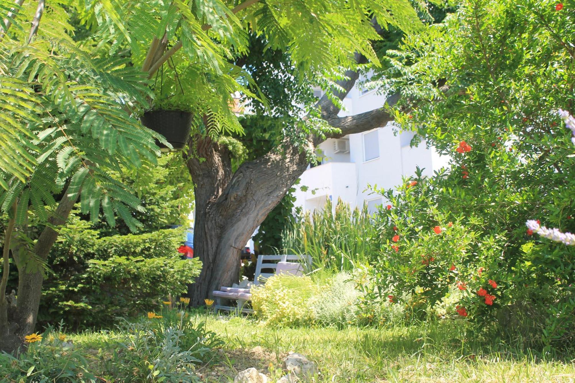 Apartments 501 - Rab Island Oasis Retreat Supetarska Draga Exterior foto
