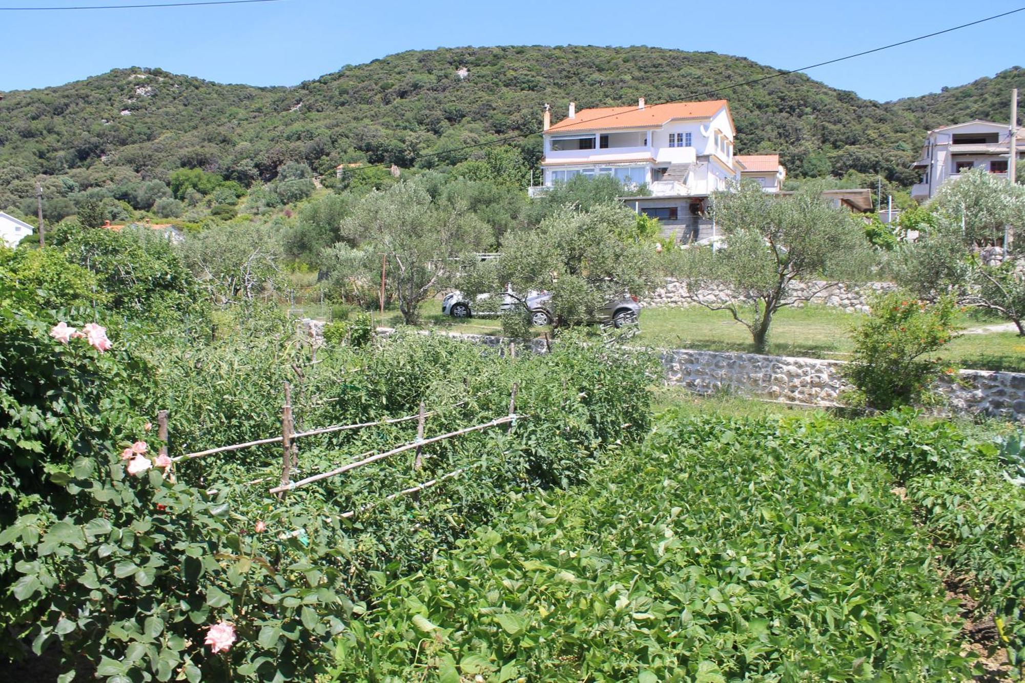Apartments 501 - Rab Island Oasis Retreat Supetarska Draga Exterior foto