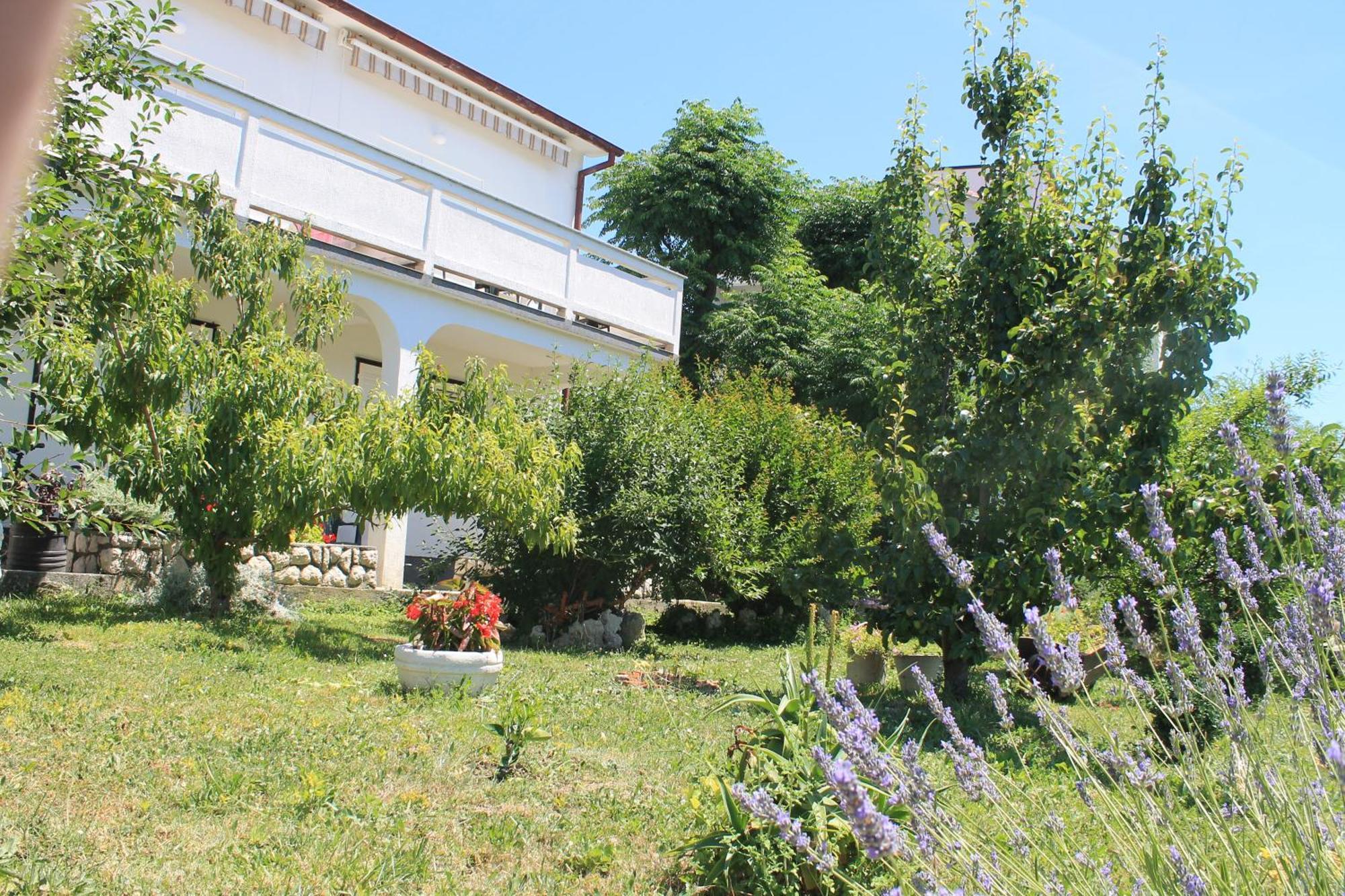 Apartments 501 - Rab Island Oasis Retreat Supetarska Draga Exterior foto