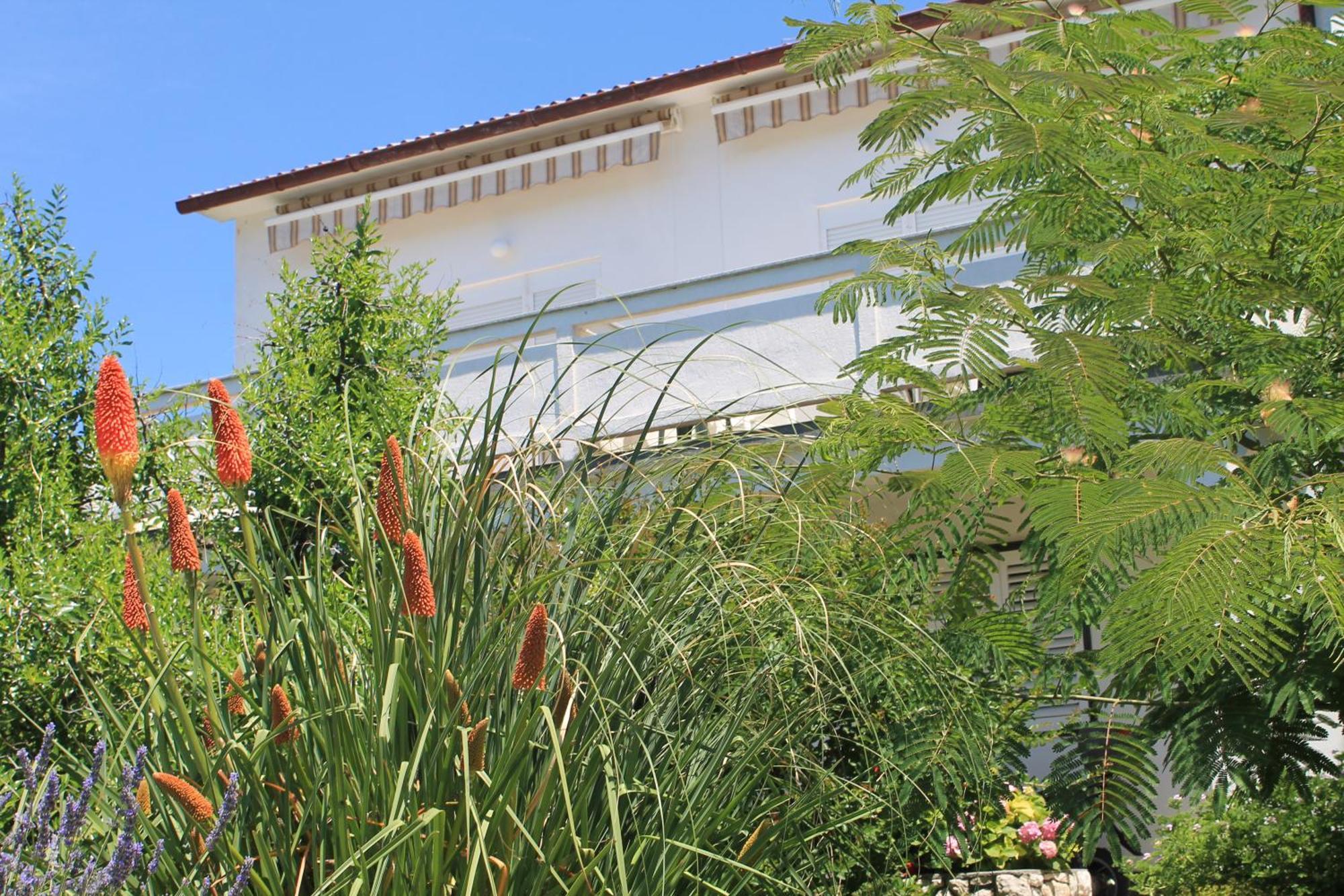Apartments 501 - Rab Island Oasis Retreat Supetarska Draga Exterior foto